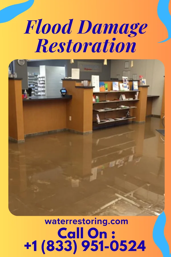 Flood Damage Restoration in Pickens, MS