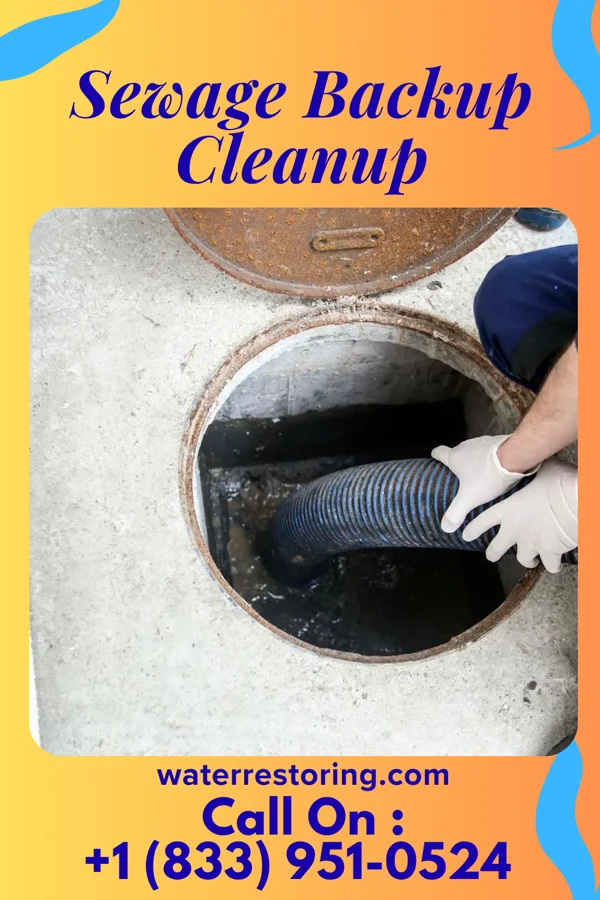 Sewage Backup Cleanup in Pickens, MS